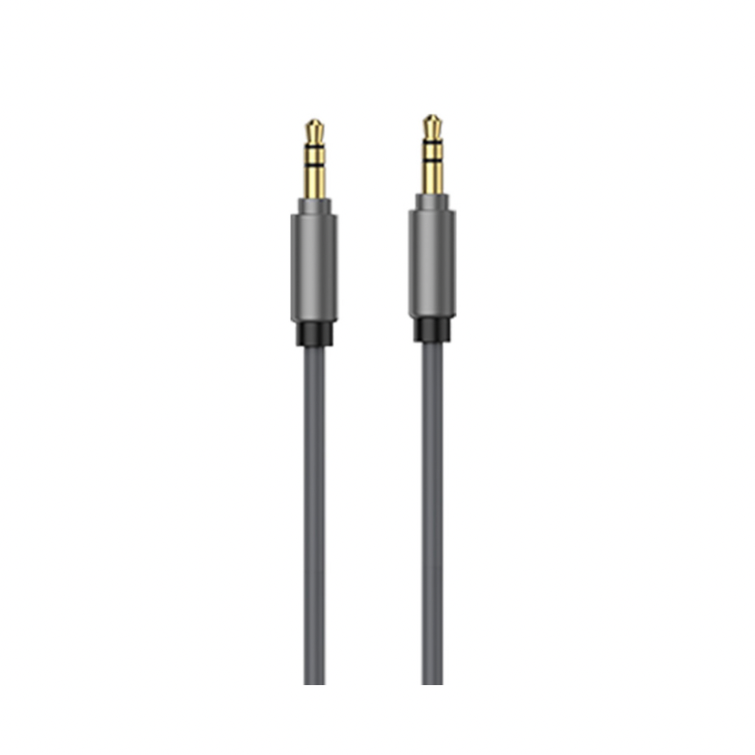 Cable de audio plug a plug 1MTS